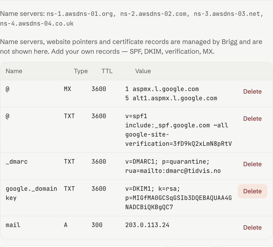 The DNS records for a domain bought through Brigg — mail, verification and website handled from here.